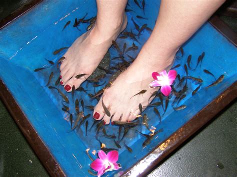 fish spa houston|fish pedicure houston texas.